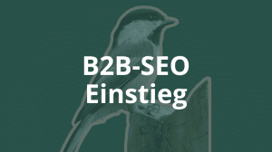 Tipps für den erfolgreichen Einstieg ins Thema B2B-SEO